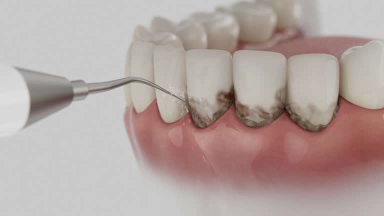 Reliable Dental contractor in Pahokee, FL by Dentist Open Now